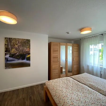 Apartment Schwarzwaldidyll Todtmoos