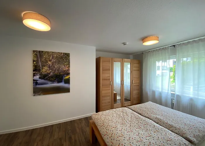 Appartement Schwarzwaldidyll Todtmoos